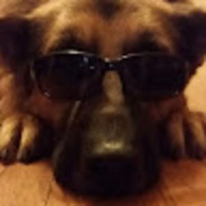 Meet your Posher, Annie